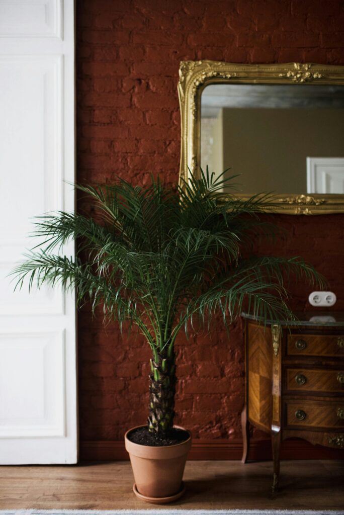 pexels-kseniachernaya-3952088