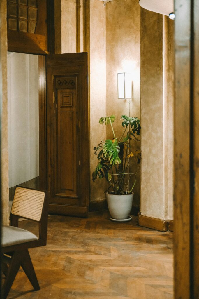 pexels-ryhnv-18645509